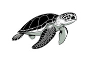 50 Sea Turtle Vector Silhouette Bund, an Illustration by jahid234 (Thumbnail 45 of 51)