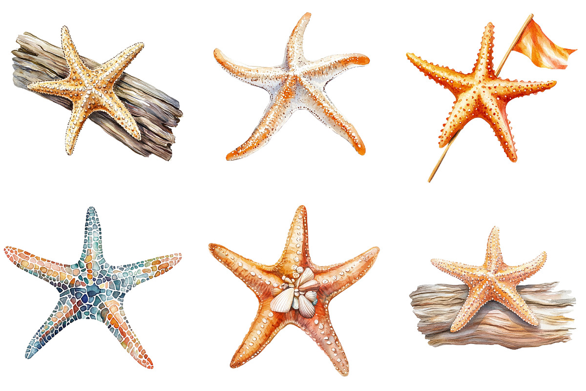 Starfish Watercolor Clipart Bundle, an Illustration by Pixels.Craft (Photo 6 of 8)
