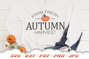 Pumpkin SVG | Autumn Harvest SVG, a Graphic by Cloud9DesignSVG (Thumbnail 2 of 4)