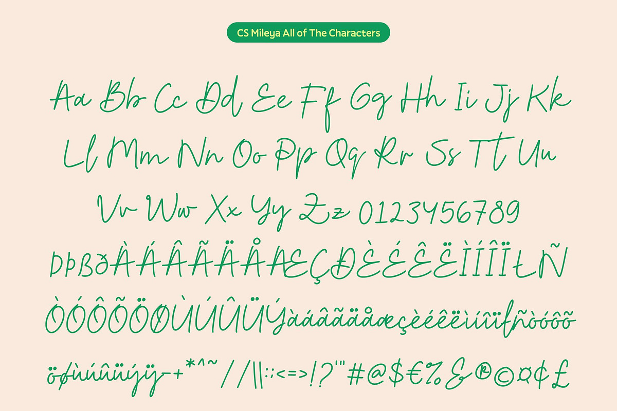CS Mileya – Stylish Script Font, a Script Font by Craft Supply Co. (Photo 8 of 8)