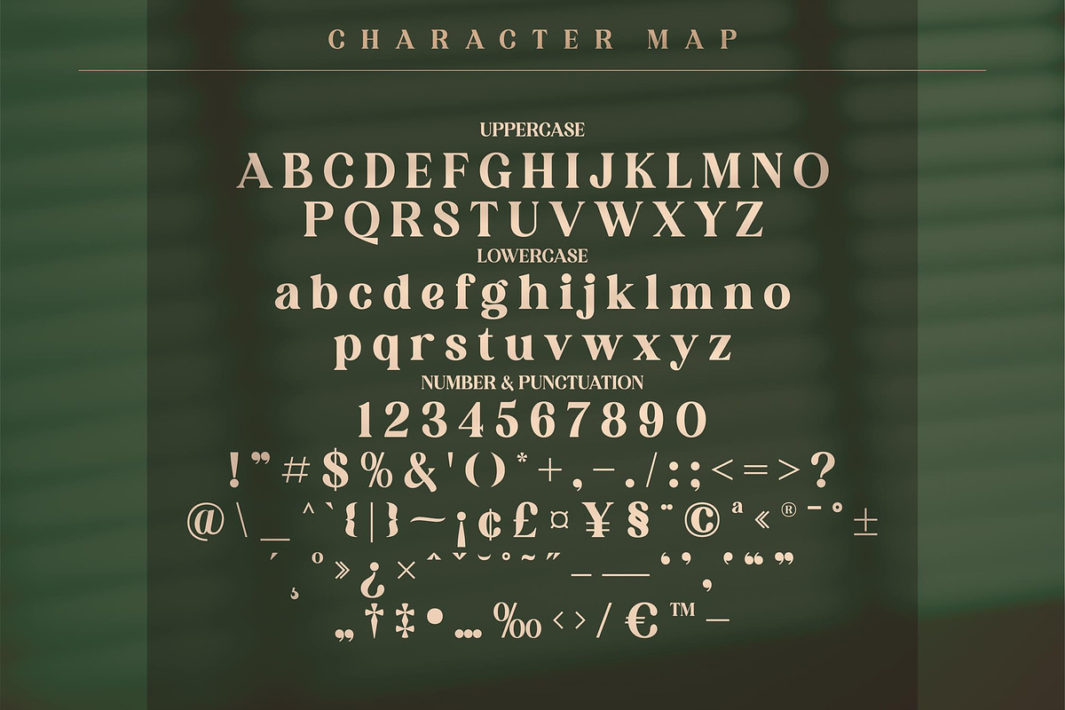 KAKURO Classy Serif Font, a Script Font by Storytype Studio (Photo 7 of 9)