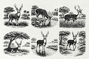 Axis Deer Wildlife Graphics, an Animal Illustration by DENIDigitalArtSudio (Thumbnail 4 of 8)