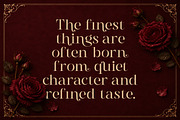 Gts Valier | Romantic Font, a Serif Font by Graptail (Thumbnail 8 of 11)