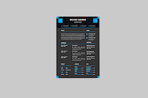 Graphic Camarro Resume Designer