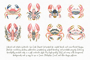 Watercolor Sea Crab Clipart Set, an Illustration by Libby Wishes (Thumbnail 2 of 8)