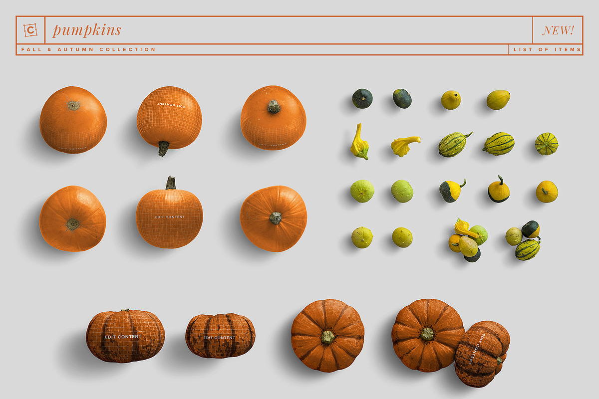 Fall & Autumn Custom Scene Creator, a Product Mockup by Custom Scene (Photo 3 of 22)