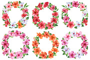 Watercolor tropical hibiscus flowers, an Object Illustration by Hanna Hryharenka (Thumbnail 12 of 18)