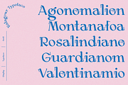 Ralagowr, a Serif Font by Portion.Labs (Thumbnail 4 of 10)