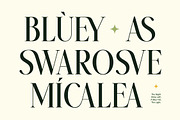 Twoswash - Beauty Elegant Serif, a Serif Font by Typia Nesia (Thumbnail 3 of 11)