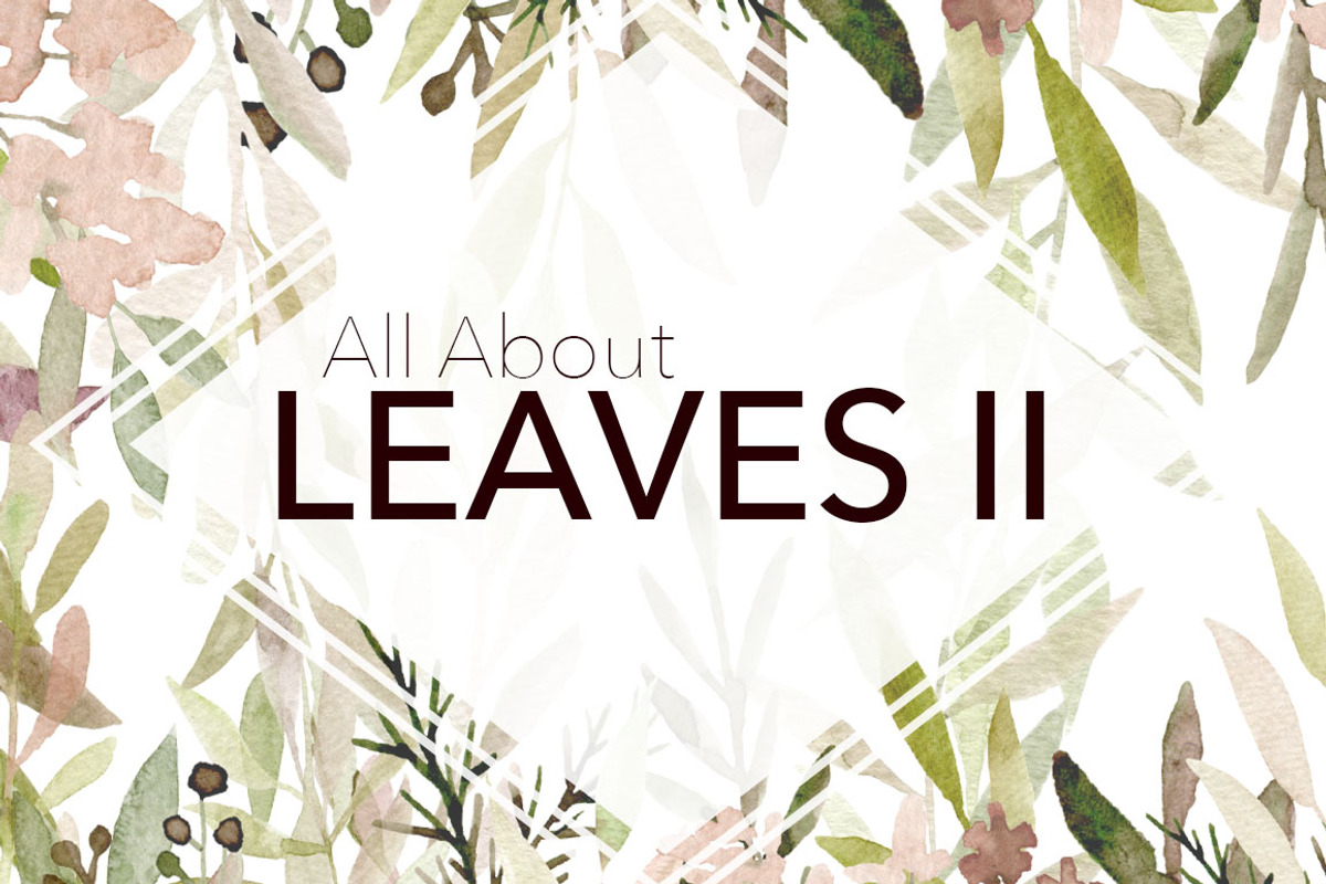 All About Leaves 2 - Watercolor, an Illustration by MariePierLaf (Photo 1 of 7)