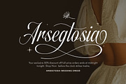 Fairyfiesta, a Script Font by Typia Nesia (Thumbnail 7 of 9)