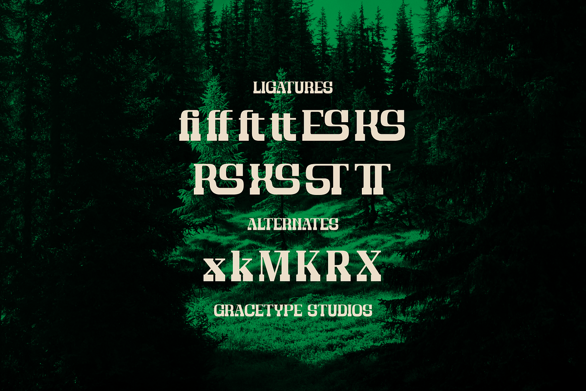 Bravo Amori | Display Slab Serif, a Slab Serif Font by gracetype_studio (Photo 12 of 12)