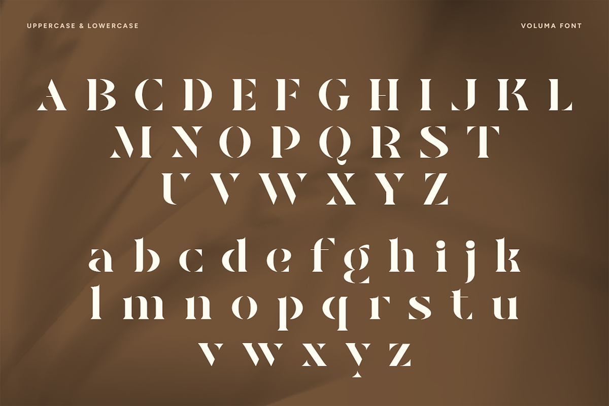 VOLUMA - Simple Elegant Display Font, a Serif Font by Pekotype (Photo 3 of 11)