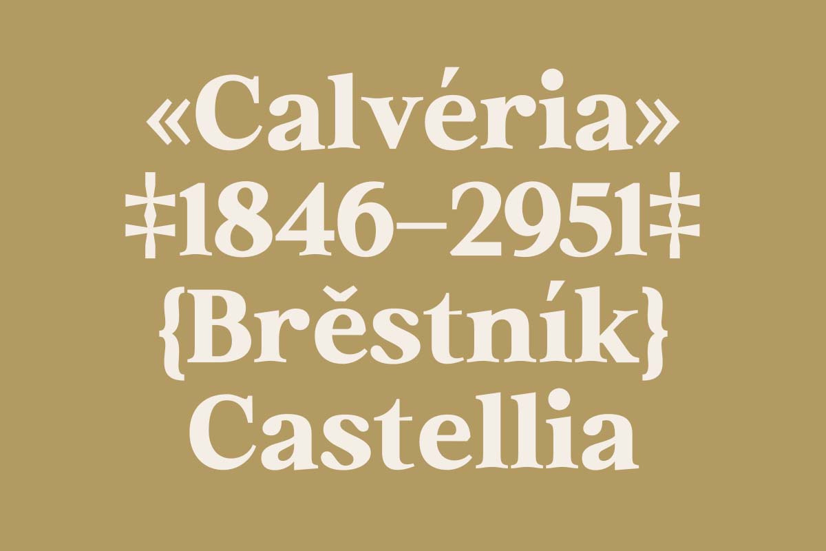 Euclid Serif | 180 Font Files, a Serif Font by Ws Studio (Photo 7 of 12)