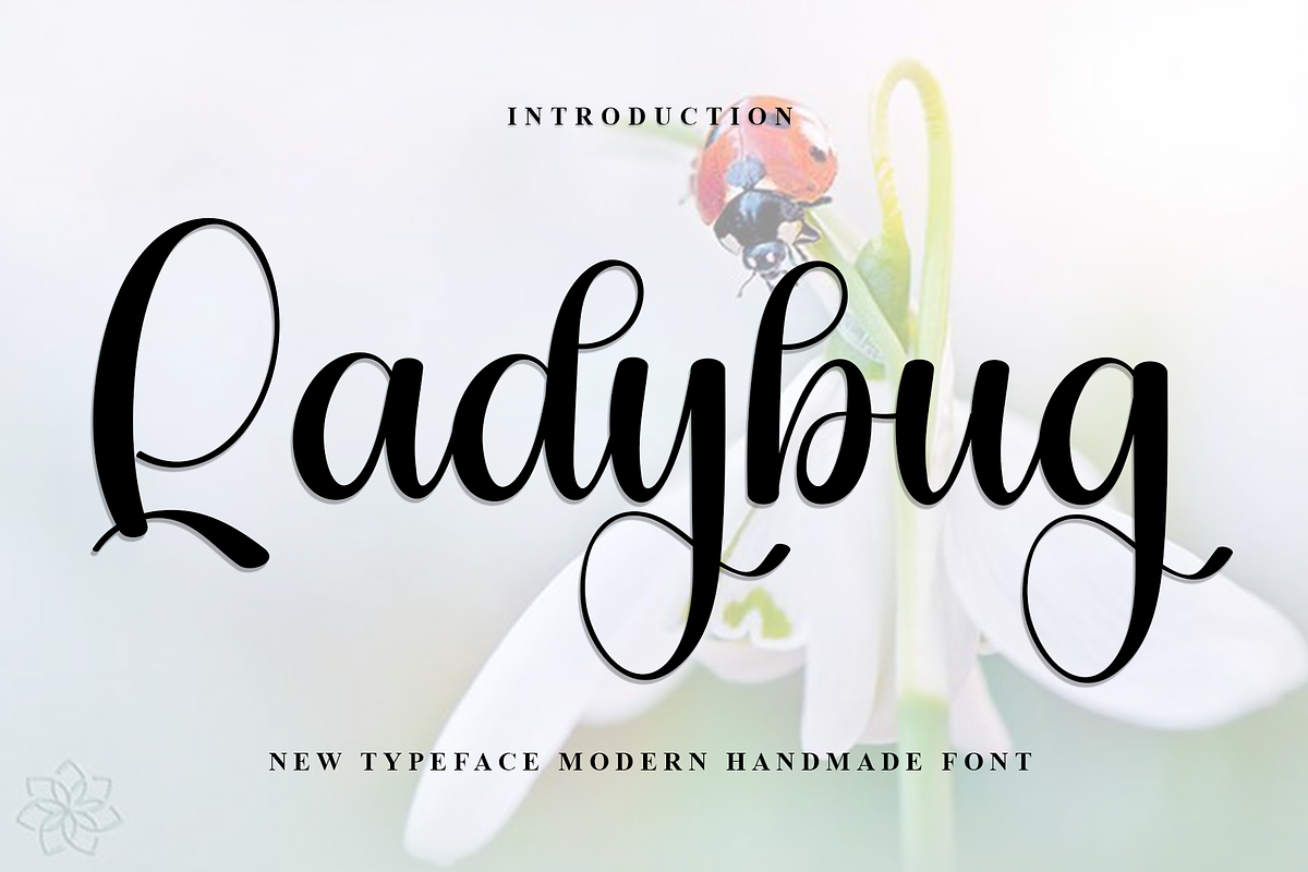 Ladybug, a Handwritten Font by InermediaSTUDIO (Photo 1 of 8)