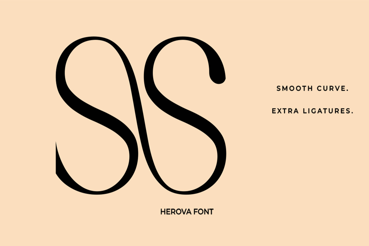 HEROVA, a Serif Font by Gatype (Photo 13 of 13)