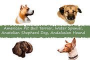 Dogs Pet Portraits Art Print Set 6, an Animal Illustration by Dneprstock (Thumbnail 1 of 5)