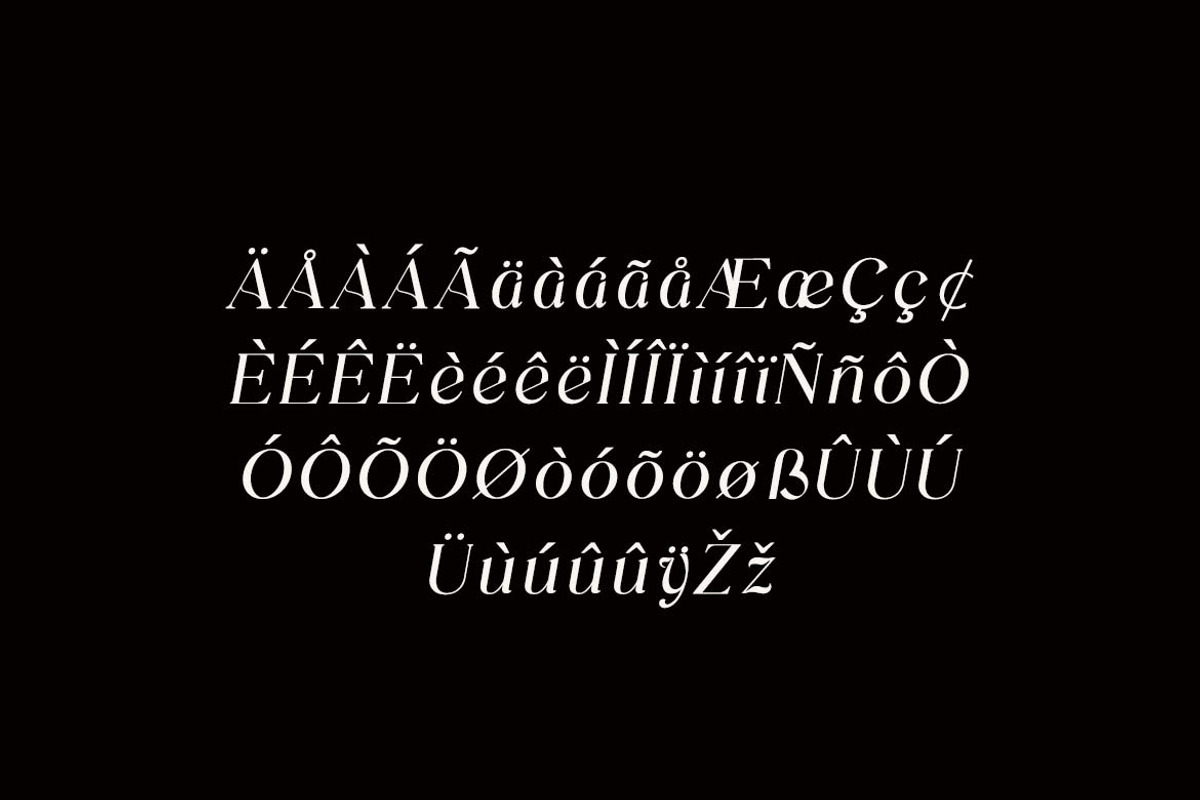 Praesdia Serif Display Font, a Serif Font by UICreative (Photo 9 of 13)