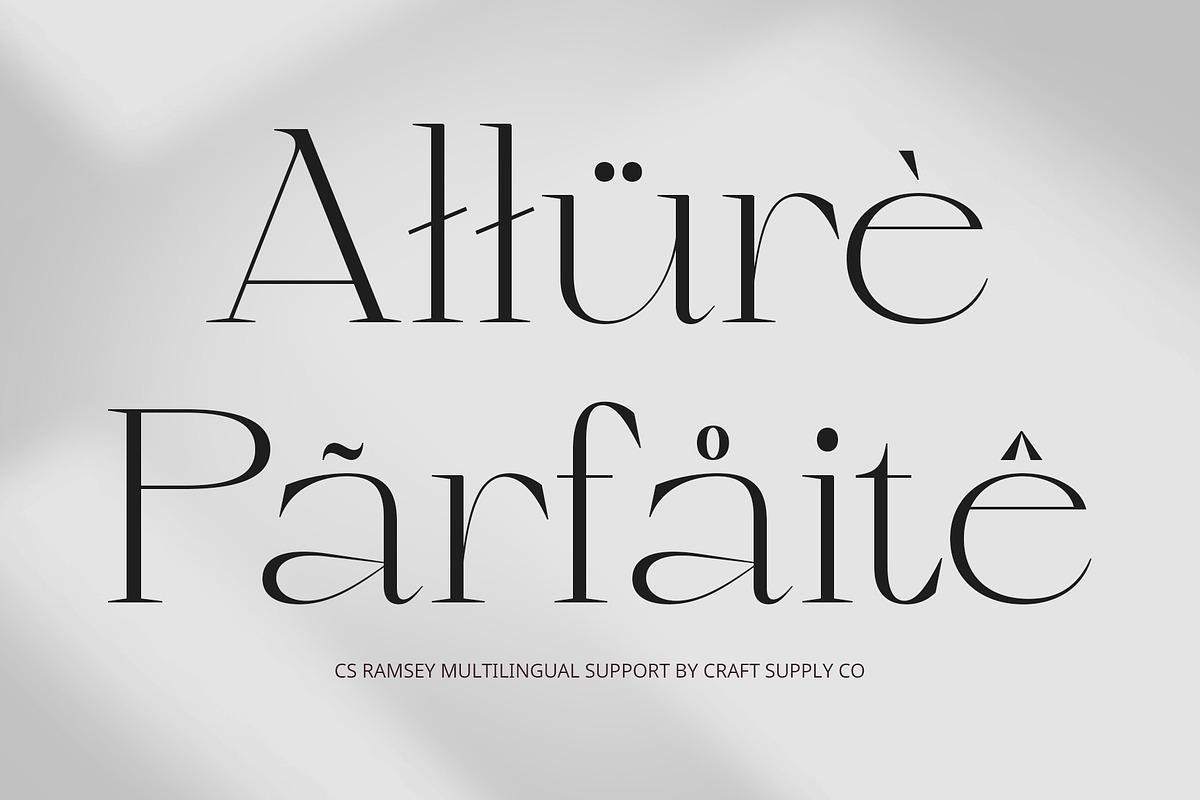CS Ramsey – Elegant Font, a Serif Font by Craft Supply Co. (Photo 4 of 8)