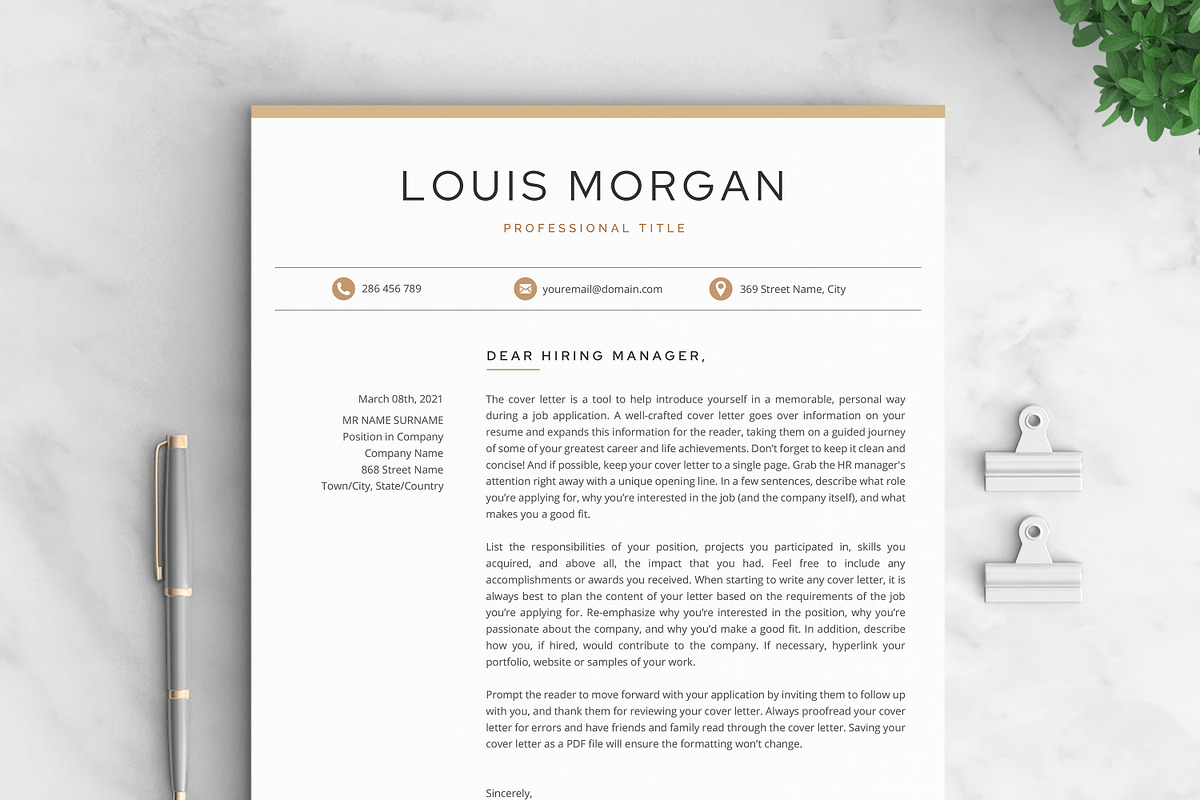 Resume/CV - The Louis, a Resume Template by CreativeLandStudio (Photo 6 of 10)