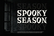 Broken Willow - Display Font, a Handwritten Font by Alpaprana (Thumbnail 5 of 10)