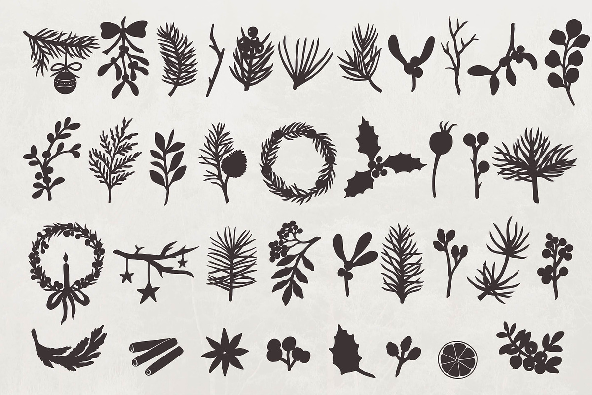 Winter Botanicals Clipart, a Seasonal Illustration by RaDavCrafts (Photo 5 of 12)