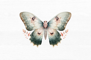 Watercolor Mystical Moth Clipart