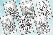 Printable Lobster Coloring Pages, an Illustration by Catchy Ideaz (Thumbnail 3 of 3)