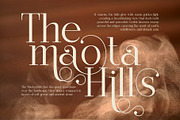 Sundan Elegant Luxury Serif Font, a Serif Font by Graphicxell (Thumbnail 2 of 8)
