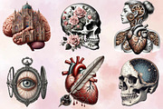 Vintage Antique Anatomy Clipart Bund, an Illustration by SVGArt (Thumbnail 6 of 8)