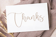 Badger Delight - Modern Handwritten, a Script Font by Letterative Studio (Thumbnail 7 of 7)