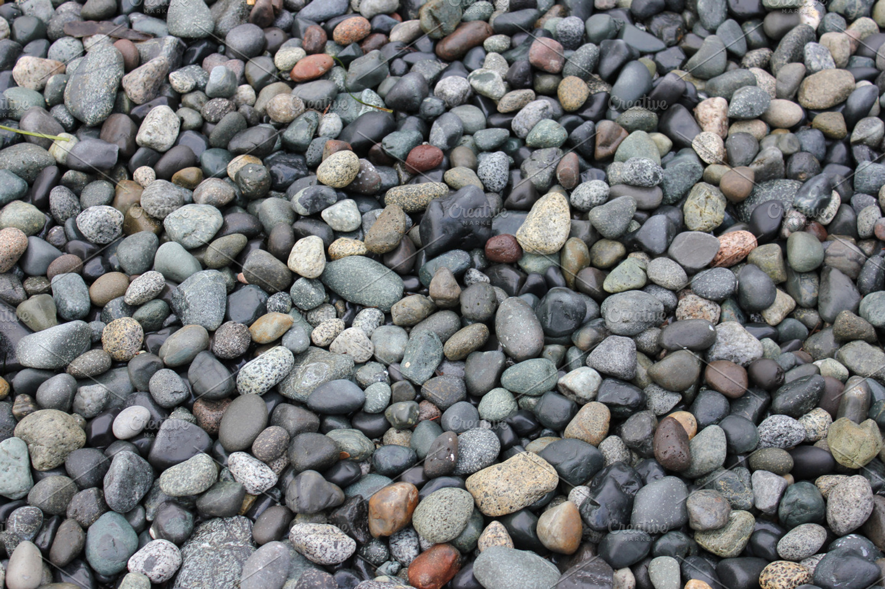 Victoria BC Stones