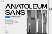 Anatoleum Sans - Inktrap Medium Sans, a Sans Serif Font by Bentype Studio (Thumbnail 1 of 16)