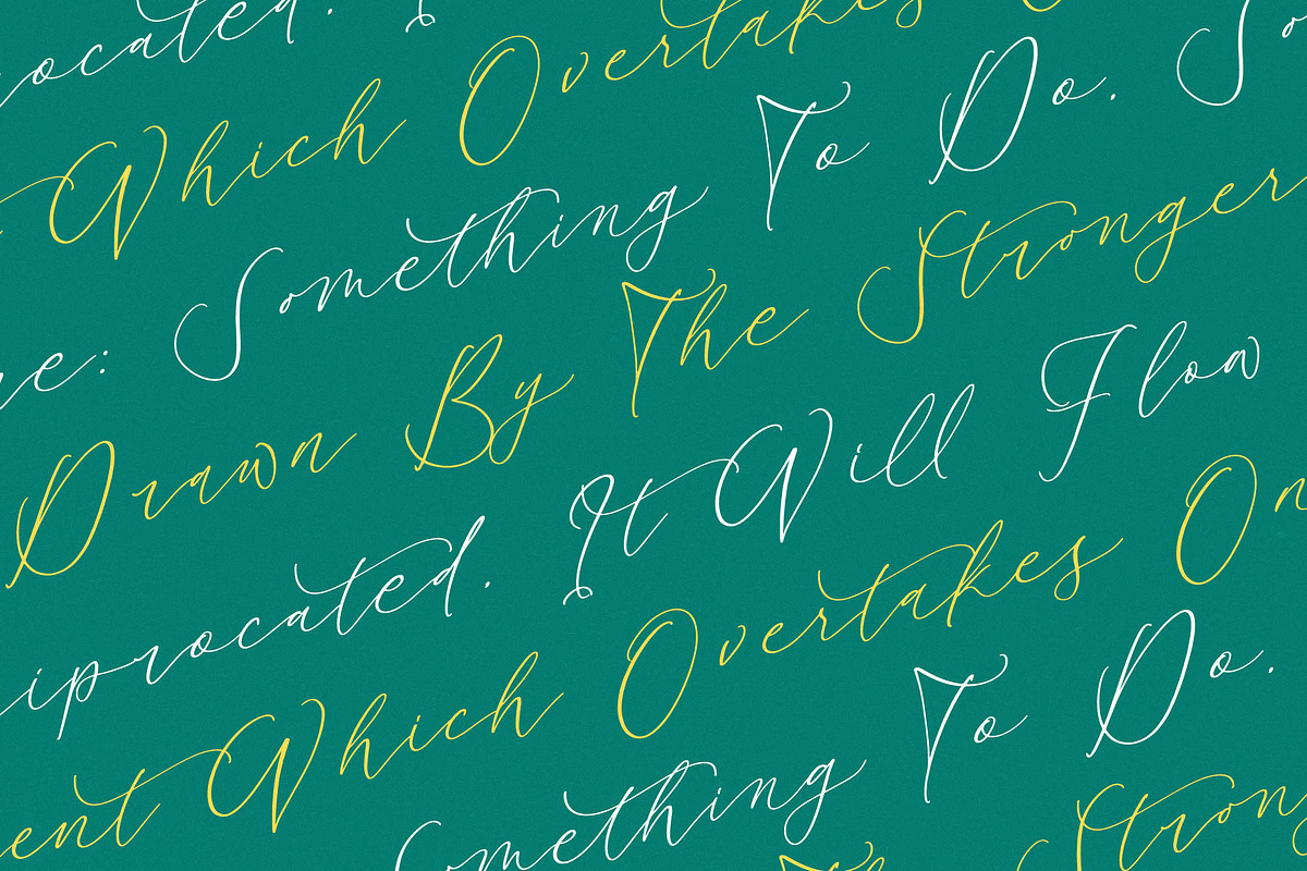 Bestlife Santuary Beautiful Script, a Script Font by stylishtype.co (Photo 8 of 20)