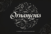 Cashmero - Italic Calligraphy, a Script Font by ErgibiStudio (Thumbnail 8 of 9)