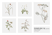 Meadow Bounty Botanical Prints, a Pattern Graphic by LEAFure (Thumbnail 6 of 8)