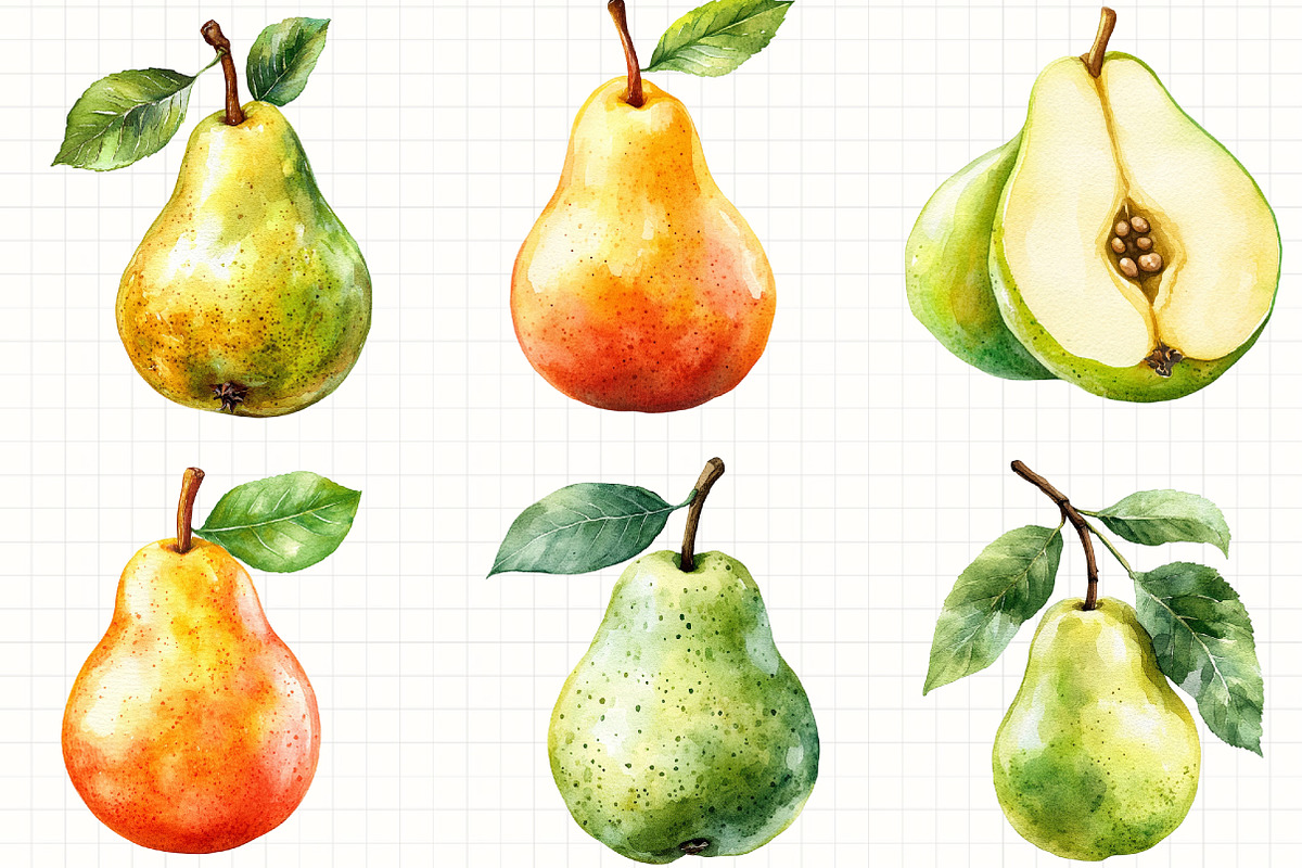 Watercolor Pear Clipart, an Illustration by Libby Wishes (Photo 4 of 6)