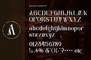 Centibillionaire, a Serif Font by Letterara (Thumbnail 9 of 13)