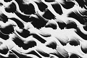 Scales and Fur, a Texture Graphic by Jennifer Lauren Creative (Thumbnail 8 of 26)