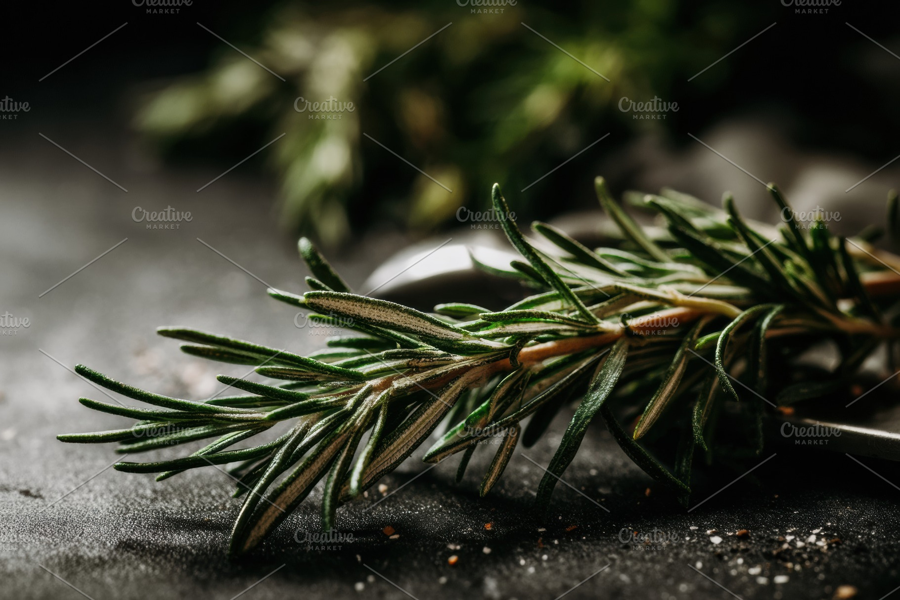 A Freshly Picked Herb Sprig, a Food & Drink Photo by Virgo Studio