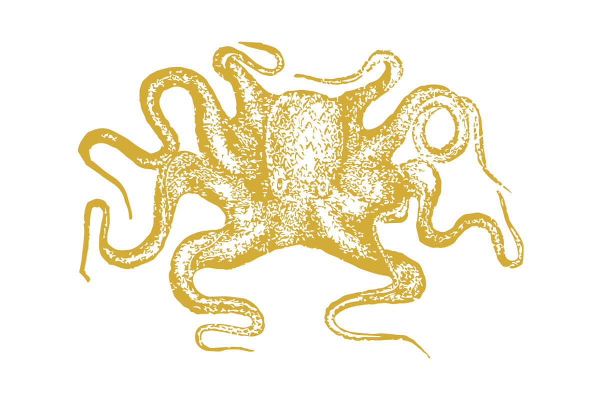 Vector Octopus Illustration, an Illustration by Theresa Barba