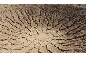 Pattern of cracked dry earth in, a Background Photo by Igor Tichonow