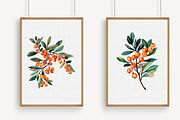 Watercolor Sea Buckthorn berry Clipa, an Illustration by Libby Wishes (Thumbnail 5 of 7)