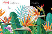 Tropical Flowers Arrangement borders, a Seasonal Illustration by ViktoriaARTprint (Thumbnail 3 of 4)