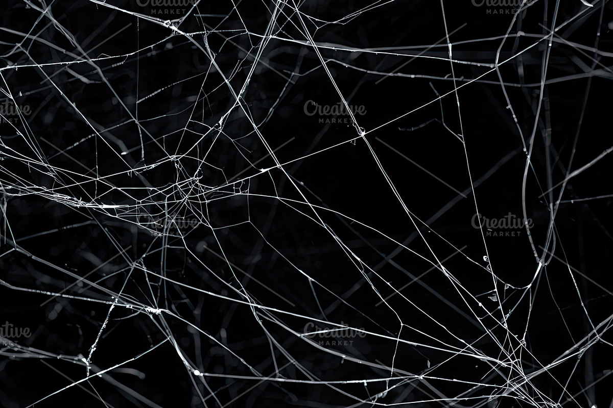 Spider Web Overlay Bundle, a Background Photo by M9 Design (Photo 9 of 10)