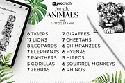Jungle Animal Procreate Brushes, a Brush Add-On by LaurenceVArtiste (Thumbnail 3 of 7)