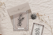 Vintage Apothecary Branding Bundle, a Healthcare Illustration by Yevheniia (Thumbnail 11 of 11)