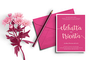 Bavalin Script + Ornaments, a Script Font by ArdhLemurian Labs (Thumbnail 7 of 7)