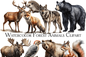 Watercolor Forest Animals Clipart, an Object Graphic by ArtisticTimberStudio