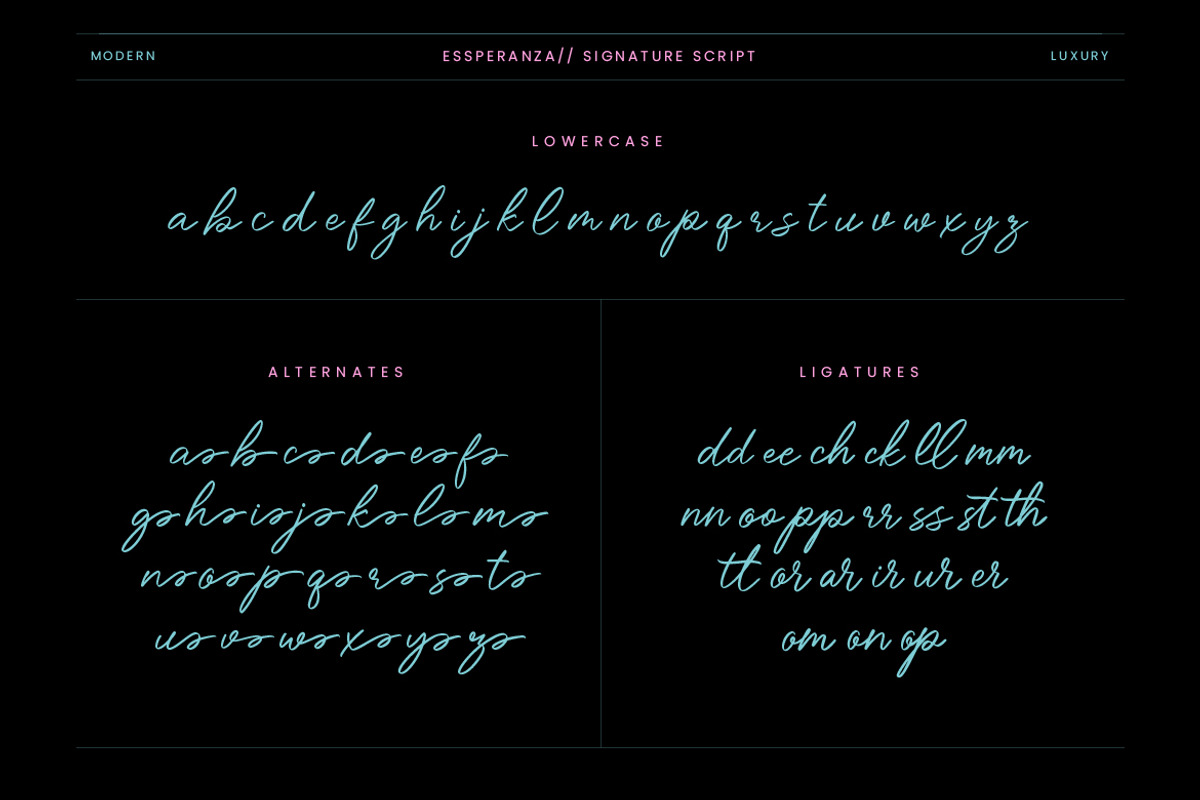 Essperanza Stylish Signature Script, a Script Font by Creatype Studio (Photo 9 of 9)